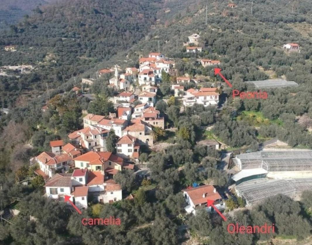 Uliveto Villa Diano San Pietro Bagian luar foto