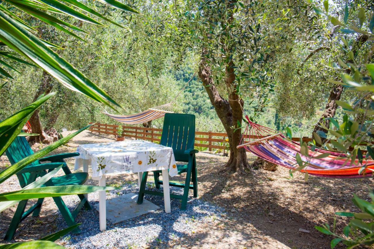 Uliveto Villa Diano San Pietro Bagian luar foto